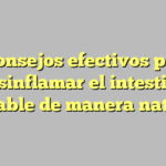 5 consejos efectivos para desinflamar el intestino irritable de manera natural