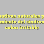Alternativas naturales para el tratamiento del síndrome de colon irritable