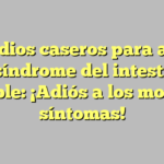 Remedios caseros para aliviar el síndrome del intestino irritable: ¡Adiós a los molestos síntomas!