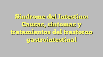 Síndrome del Intestino: Causas, síntomas y tratamientos del trastorno gastrointestinal