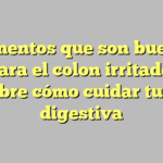 Alimentos que son buenos para el colon irritado: descubre cómo cuidar tu salud digestiva