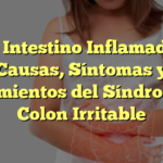 El Intestino Inflamado: Causas, Síntomas y Tratamientos del Síndrome de Colon Irritable