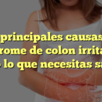 Las principales causas del síndrome de colon irritable: todo lo que necesitas saber