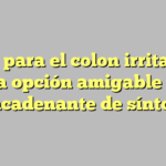 Pan para el colon irritable: ¿Una opción amigable o un desencadenante de síntomas?