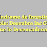 Síndrome de Intestino Irritable: Descubre las Causas que lo Desencadenan