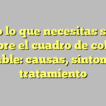 Todo lo que necesitas saber sobre el cuadro de colon irritable: causas, síntomas y tratamiento
