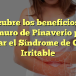 Descubre los beneficios del bromuro de Pinaverio para aliviar el Síndrome de Colon Irritable