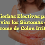 7 Hierbas Efectivas para Aliviar los Síntomas del Síndrome de Colon Irritable
