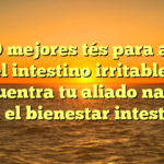 Los 10 mejores tés para aliviar el intestino irritable: ¡Encuentra tu aliado natural para el bienestar intestinal!