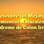 Descubre los Mejores Tratamientos Naturales para el Síndrome de Colon Irritable