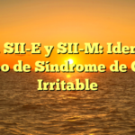 SII-D, SII-E y SII-M: Identifica tu tipo de Síndrome de Colon Irritable
