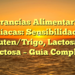 Intolerancias Alimentarias no Celíacas: Sensibilidad al Gluten/Trigo, Lactosa y Fructosa – Guía Completa
